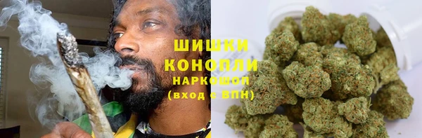 индика Вязьма