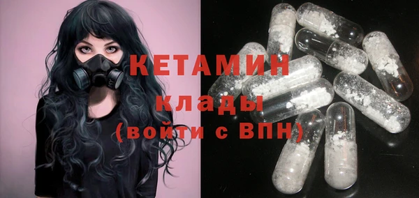 стаф Вяземский