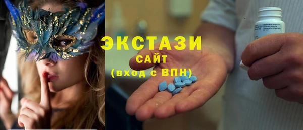 индика Вязьма