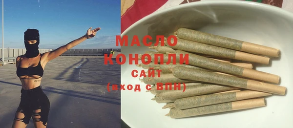 стаф Вяземский