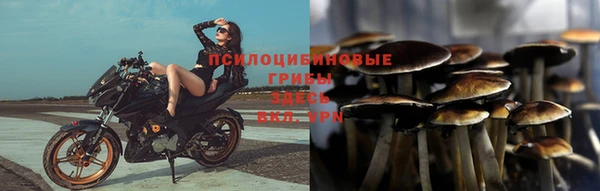 2c-b Вязники