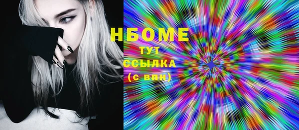 индика Вязьма