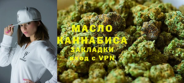 индика Вязьма