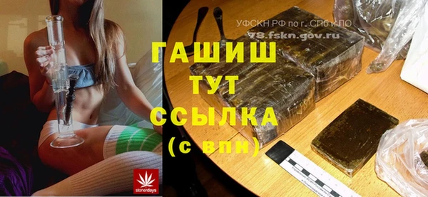 индика Вязьма