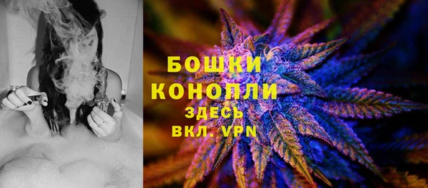 стаф Вяземский