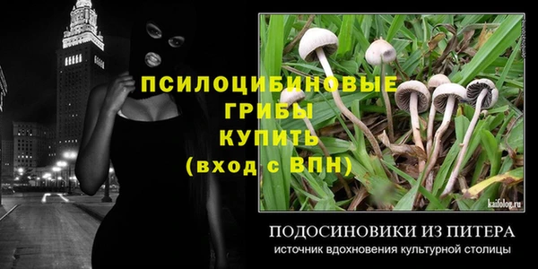 2c-b Вязники