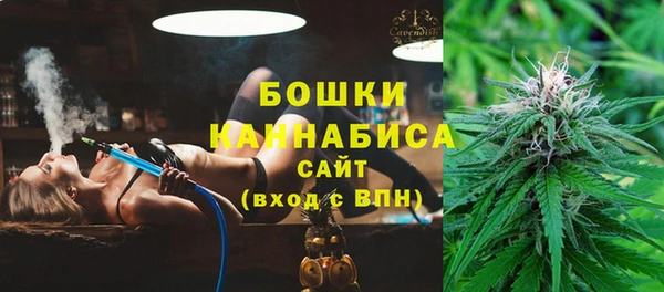 стаф Вяземский