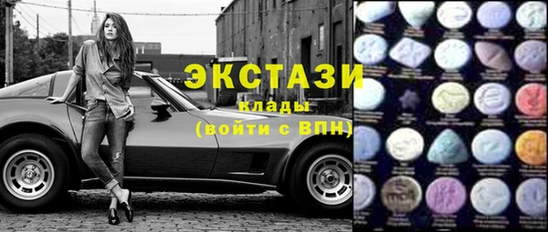 индика Вязьма