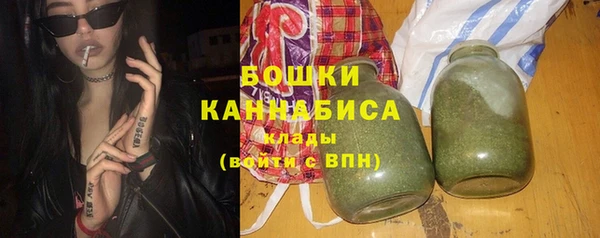 стаф Вяземский