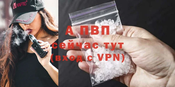 стаф Вяземский