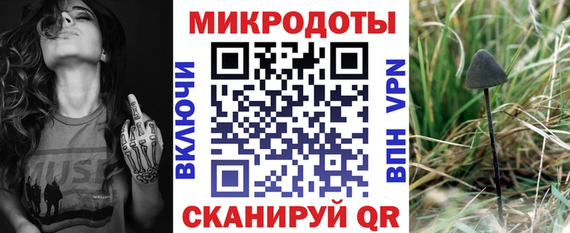 магазин  наркотиков  Новая Ладога  Псилоцибиновые грибы мицелий 