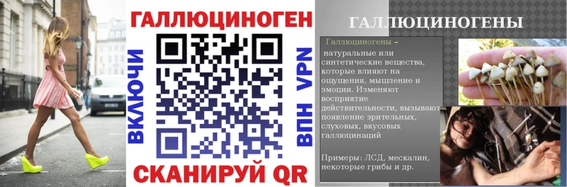 Галлюциногенные грибы мухоморы Новая Ладога